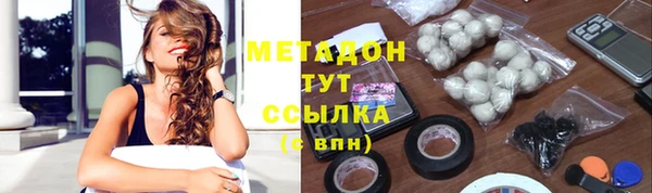 шишки Коряжма