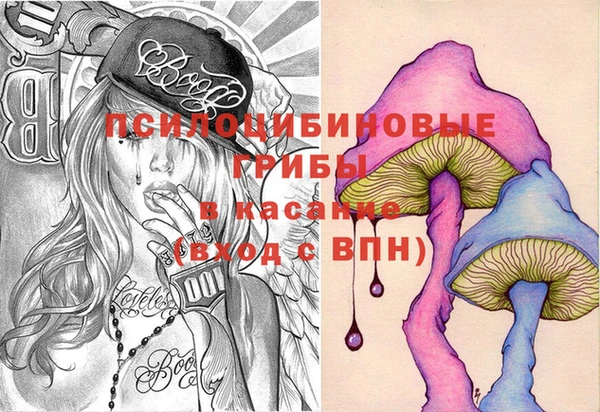гашик Всеволожск