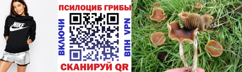Галлюциногенные грибы MAGIC MUSHROOMS  Кудымкар 